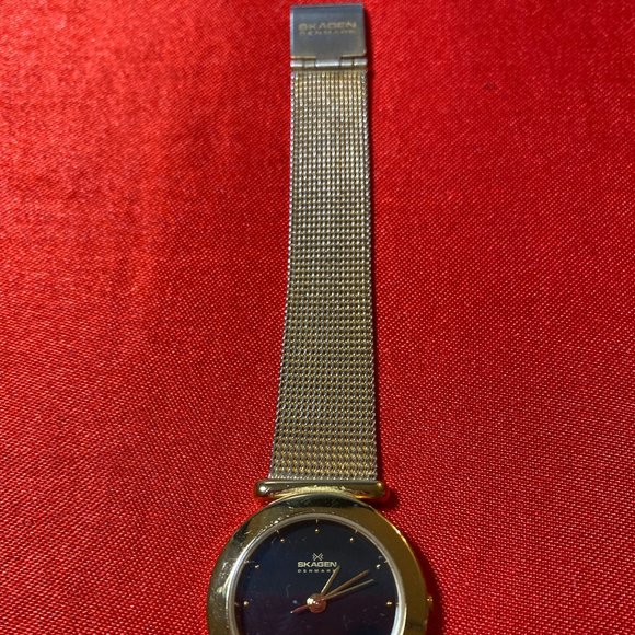 SKAGEN DENMARK Ladies Watch main image 4